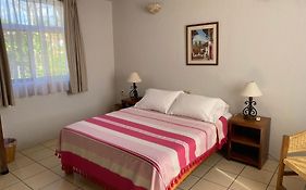 Zandoyo Bed & Breakfast